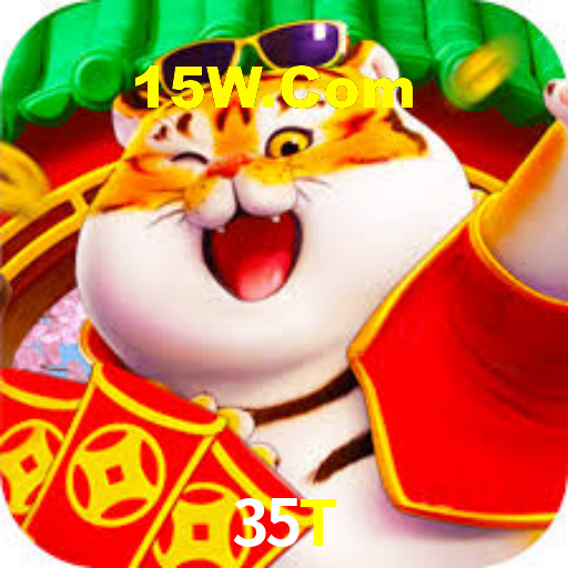 35t.com